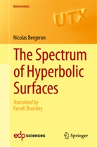 Nicolas Bergeron - The Spectrum of Hyperbolic Surfaces