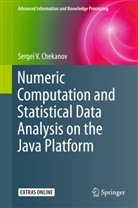 Sergei V Chekanov, Sergei V. Chekanov - Numeric Computation and Statistical Data Analysis on the Java Platform