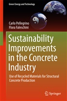 Flora Faleschini, Carl Pellegrino, Carlo Pellegrino - Sustainability Improvements in the Concrete Industry