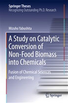 Mizuho Yabushita - A Study on Catalytic Conversion of Non-Food Biomass into Chemicals