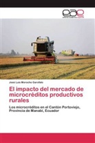 José Luis Morocho Garofalo - El impacto del mercado de microcréditos productivos rurales