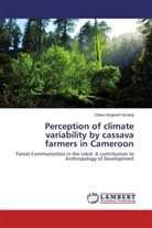 Eileen Bogweh Nchanji - Perception of climate variability by cassava farmers in Cameroon