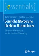 Stephan Gronwald, Diete Melchart, Dieter Melchart - Gesundheitsförderung für kleine Unternehmen