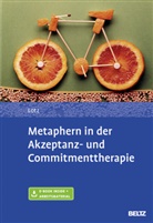 Norbert Lotz - Metaphern in der Akzeptanz- und Commitmenttherapie