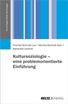Leist, Leistner, Alexander Leistner, Thoma Schmidt-Lux, Thomas Schmidt-Lux, Monik Wohlrab-Sahr... - Kultursoziologie - eine problemorientierte Einführung