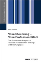 Boris Ulshöfer - Neue Steuerung - Neue Professionalität?