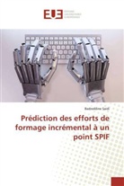 Badreddine Saidi, Saidi-b - Prediction des efforts de formage