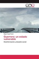 Miguel Angel Pastor - Guerrero: un estado vulnerable