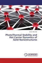 Yasser Attia Attia - PhotoThermal Stability and Hot Carrier Dynamics of Gold Nanostructures