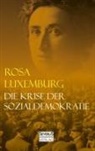Rosa Luxemburg - Die Krise der Sozialdemokratie