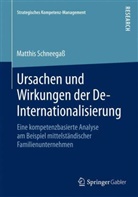 Matthis Schneegass - Ursachen und Wirkungen der De-Internationalisierung