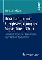 Wei Manske-Wang - Urbanisierung und Energieversorgung der Megastädte in China