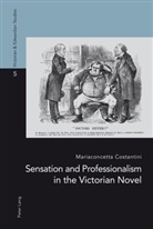 Mariaconcetta Costantini - Sensation and Professionalism in the Victorian Novel