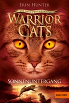 Erin Hunter, Friederike Levin - Warrior Cats - Die neue Prophezeiung. Sonnenuntergang