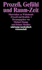 HAMP, Hampe, Hampe, Michael Hampe, Maasse, Helmu Maassen... - Materialien zu Whiteheads »Prozeß und Realität«