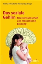 Helm Fink, Helmu Fink, Helmut Fink, Rosenzweig, Rosenzweig, Rainer Rosenzweig - Das soziale Gehirn