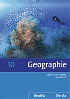 Kerstin Bräuer, Helmut Fiedler, Roland Frenzel, Wolfgang Gerber, Sascha Kotztin, Frank Morgeneyer... - Seydlitz Diercke Geographie, Ausgabe 2011 Sachsen: Diercke / Seydlitz  Geographie - Ausgabe 2011 für die Sekundarstufe I in Sachsen