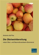 Antonio Dal Piaz, Antonio Menotti dal Piaz - Die Obstweinbereitung