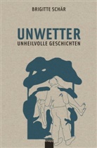 Brigitte Schär, Ulrich Zwick, Ulrich Illustriert von Zwick, Vorwort von Hohler - Unwetter