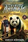 Varian Johnson - The Return