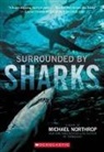 Michael Northrop - Surrounded by Sharks