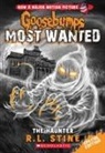 R. L. Stine - The Haunter (Goosebumps Most Wanted Special Edition #4)