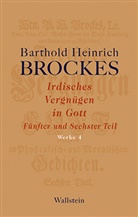 Barthold H. Brockes, Barthold Heinrich Brockes, Jürge Rathje, Jürgen Rathje, Jürgen Rathje (Dr.) - Irdisches Vergnügen in Gott. Tl.5-6