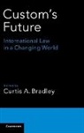 Curtis A. Bradley, Curtis A. Wuerth Bradley, Curtis A. Bradley, Bradley Curtis A., Ingrid B. Wuerth - Custom''s Future