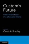 Curtis A. Bradley, Curtis A. Wuerth Bradley, Curtis A Bradley, Curtis A. Bradley, Bradley Curtis A., Ingrid B. Wuerth - Custom''s Future