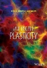 Nasr Ghoniem, Nasr Po Ghoniem, Ghoniem Nasr, Giacomo Po, Po Giacomo - Multiscale Plasticity