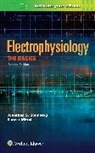 Dr. SUneet Mittal, Suneet Mittal, Dr. Jonathan S. Steinberg, Jonathan S. Steinberg, Jonathan S. Mittal Steinberg - Electrophysiology: The Basics
