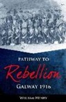 William Henry - Pathway to Rebellion