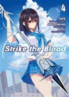 Gakut Mikumo, Gakuto Mikumo, Tate - Strike the Blood 04. Bd.4