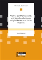 Thimo C Schröder, Thimo C. Schröder - Analyse der Markteintritts- und Marktbearbeitungsmöglichkeiten von VW in Brasilien