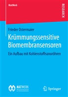 Frieder Ostermaier - Krümmungssensitive Biomembransensoren