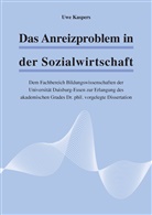 Uwe Kaspers - Das Anreizproblem in der Sozialwirtschaft