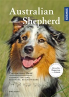 Rike Geist - Australian Shepherd