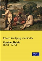 Johann Wolfgang von Goethe - Goethes Briefe
