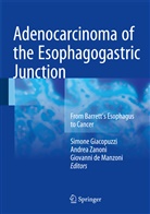 Giovanni De Manzoni, Simone Giacopuzzi, Giovanni de Manzoni, Andre Zanoni, Andrea Zanoni - Adenocarcinoma of the Esophagogastric Junction