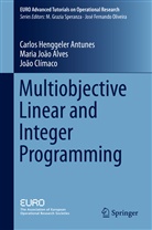 Maria Joa Alves, Maria Joao Alves, Maria João Alves, Climac, Joao Climaco, João Clímaco... - Multiobjective Linear and Integer Programming