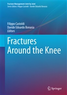 Davide Edoardo Bonasia, Filipp Castoldi, Filippo Castoldi, Edoardo Bonasia, Edoardo Bonasia - Fractures around the Knee