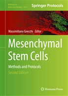 Massimilian Gnecchi, Massimiliano Gnecchi - Mesenchymal Stem Cells