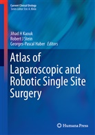 Georges-Pascal Haber, Rober J Stein, Robert J Stein, Jihad H Kaouk, Jihad H. Kaouk, Robert J Stein... - Atlas of Laparoscopic and Robotic Single Site Surgery
