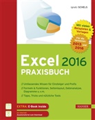 Ignatz Schels - Excel 2016 Praxisbuch
