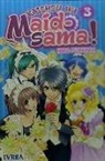 Hiro Fujiwara - Kaicho Wa Maid Sama!