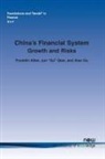 Franklin Allen, Xian Gu, Jun "QJ" Qian, Jun Qj Qian - China's Financial System
