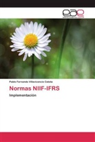 Pablo Fernando Villavicencio Catota - Normas NIIF-IFRS