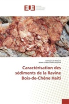 Emmanue Moliere, Emmanuel Moliere, Marie Gisèle Pierre Antoine - Caractérisation des sédiments de la Ravine Bois-de-Chêne Haiti