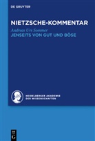 Andreas U. Sommer, Andreas Urs Sommer, Heidelberger Akademie der Wissenschaften - Historischer und kritischer Kommentar zu Friedrich - Band 5.1: Kommentar zu Nietzsches "Jenseits von Gut und Böse"
