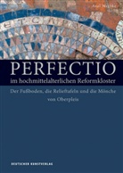 Axel Werbke - Perfectio im hochmittelalterlichen Reformkloster